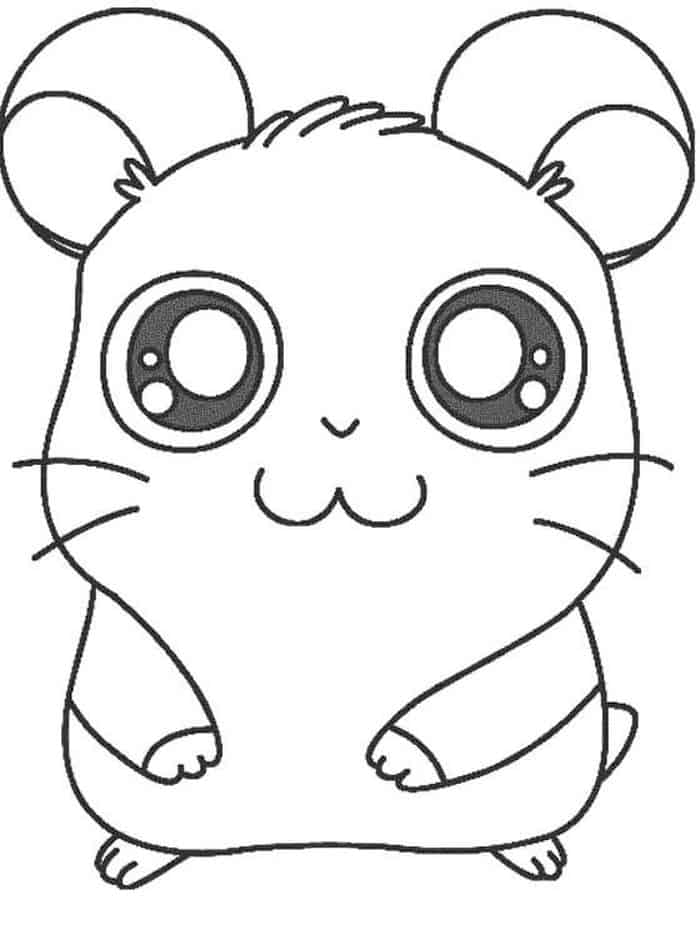 Coloring Pages Hamster