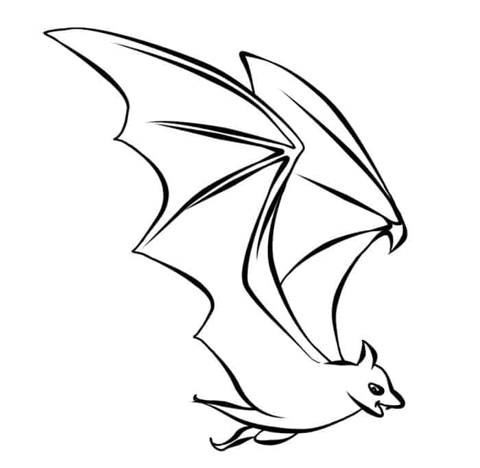 Coloring Pages Turkey Bat