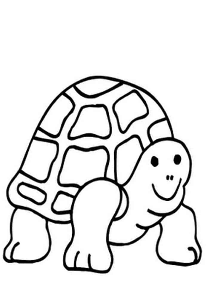 Coloring Pages Turtle
