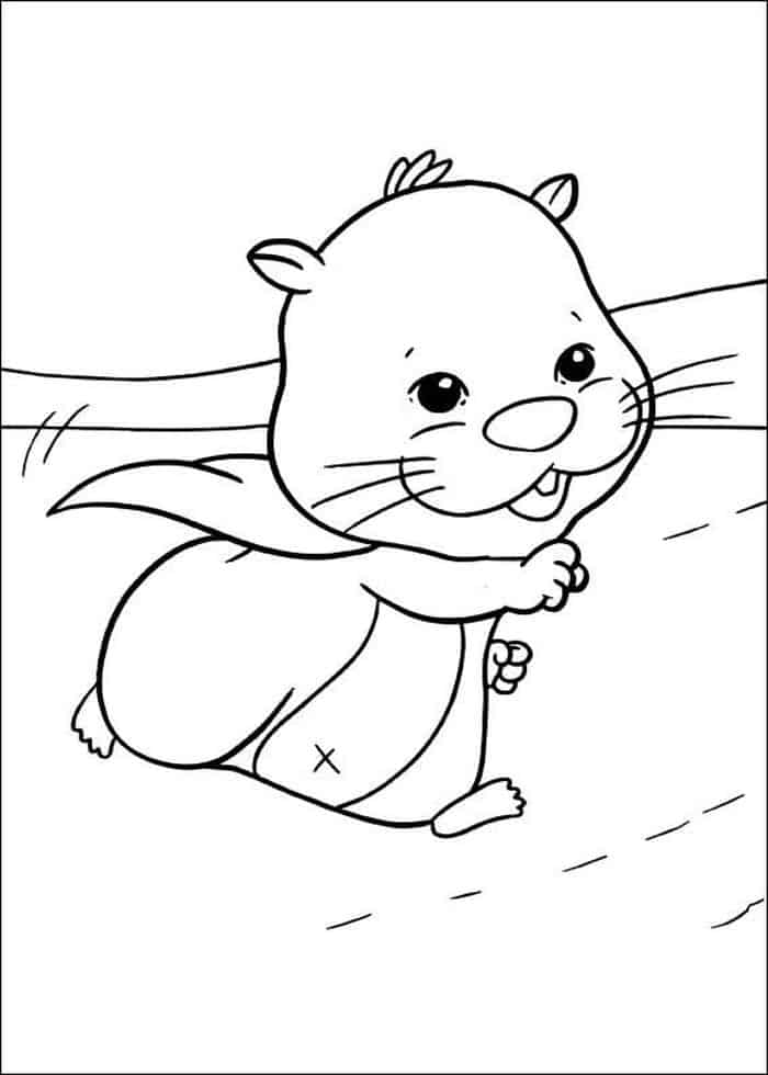 Cute Baby Hamster Coloring Pages