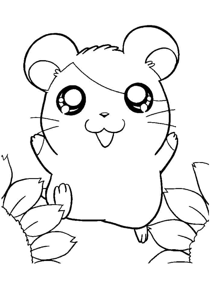 Cute Hamster Coloring Pages