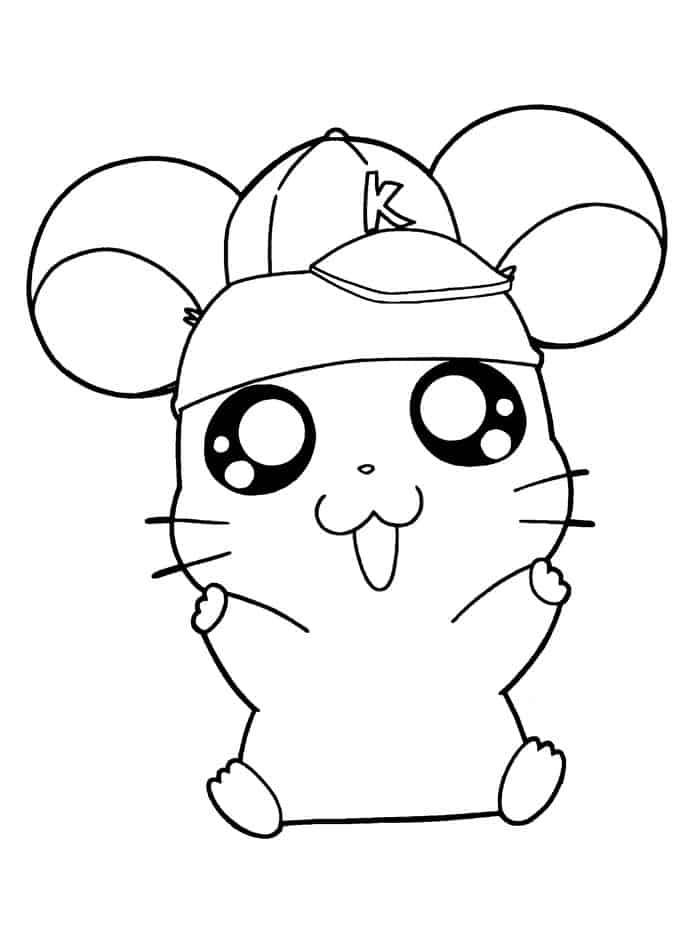 Cute Hamster With Hat Coloring Pages