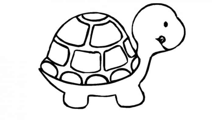 Cute Turtle Coloring Pages