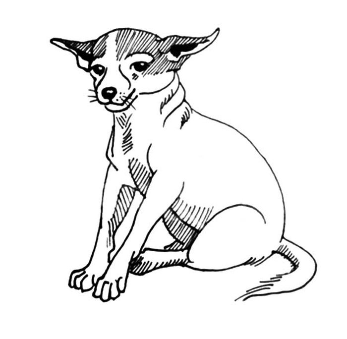 El Paso Chihuahua Coloring Pages