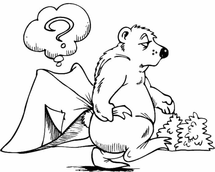 Free Printable Bear Coloring Pages Camping