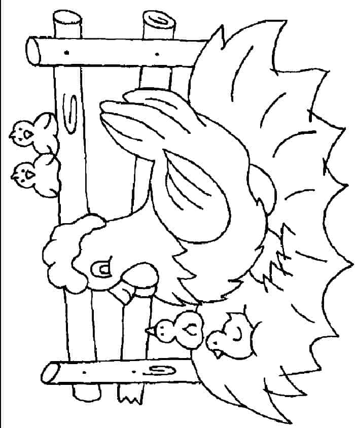 Free Printable Chicken Coloring Pages