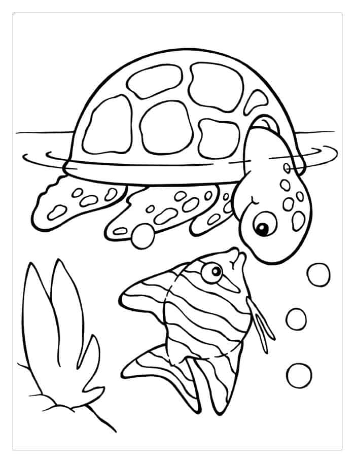 Free Printable Turtle Coloring Pages