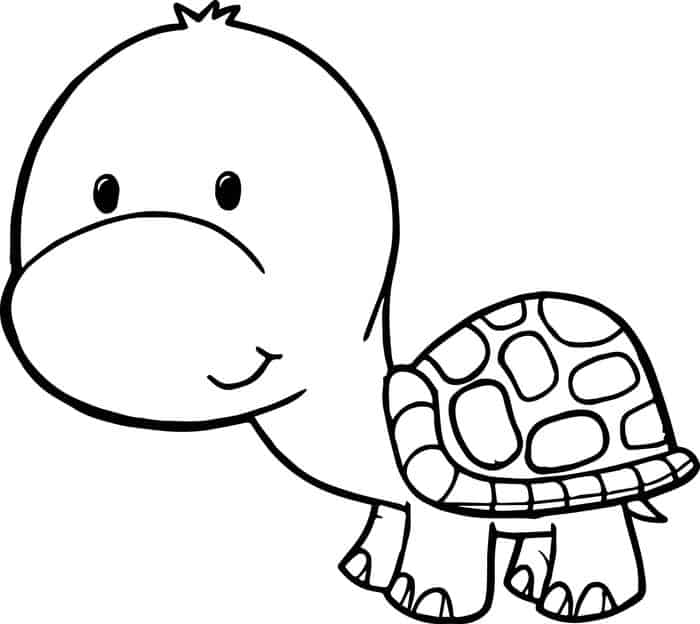 Free Turtle Coloring Pages
