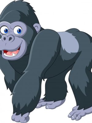 Gorilla