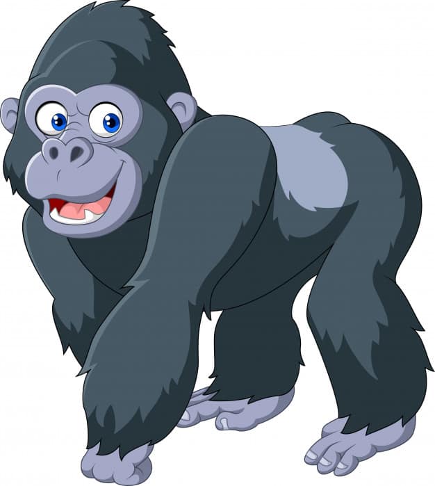 Gorilla