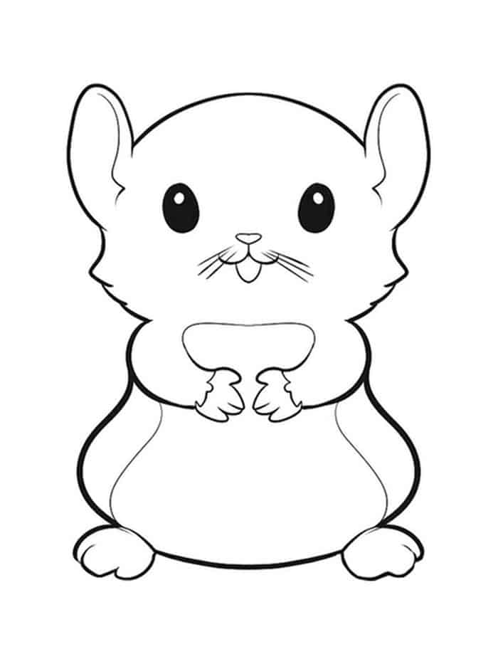 Hamster Printable Coloring Pages Small
