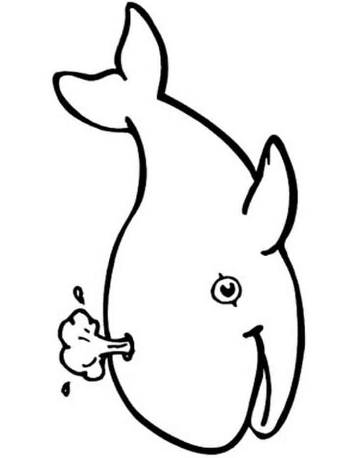 Humpback Whale Coloring Pages To Print