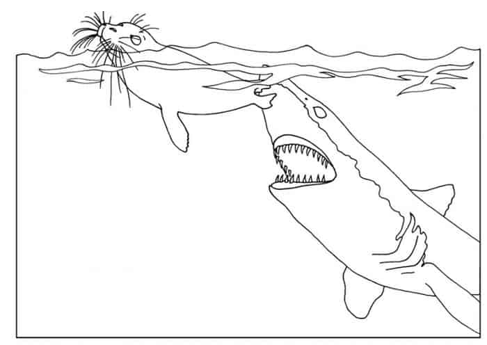 Hungry Shark Coloring Pages