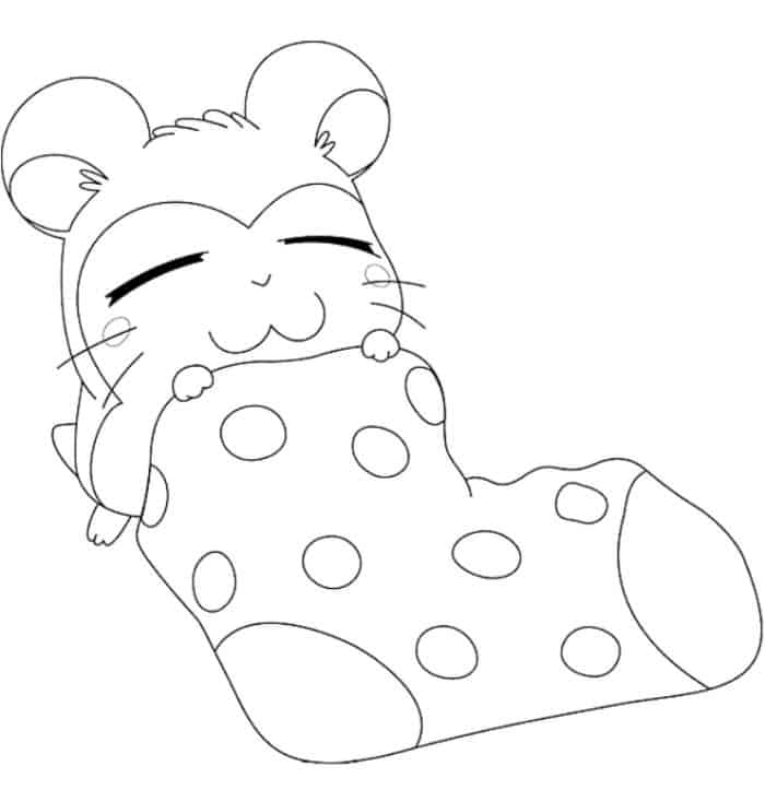 Japanese Hamster Coloring Pages