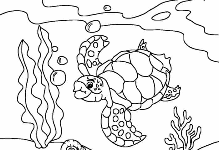 Kids Coloring Pages Free Sea Turtle