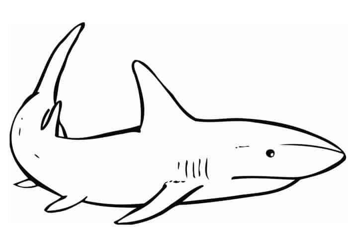 Lemon Shark Coloring Pages