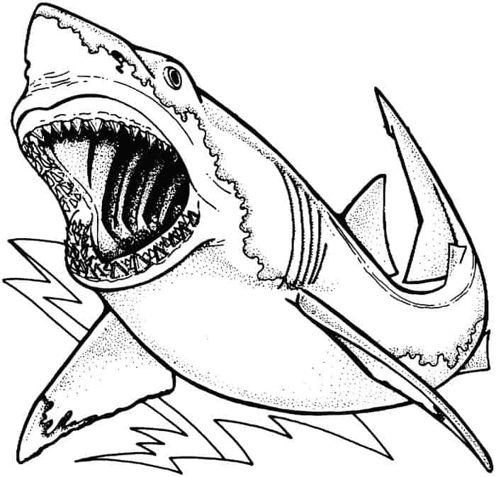Megalodon Shark Coloring Pages
