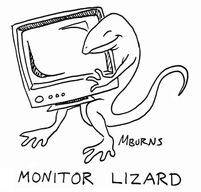 Monitor Lizard Coloring Pages