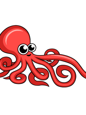 Octopus