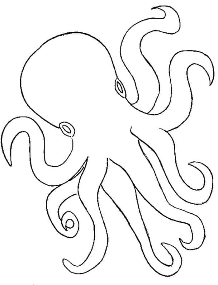 Octopus Outline Coloring Pages