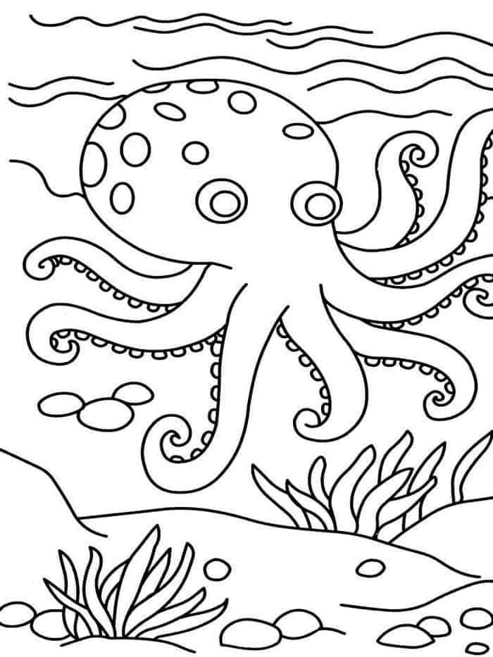 Octopus Sea Coloring Pages Kids