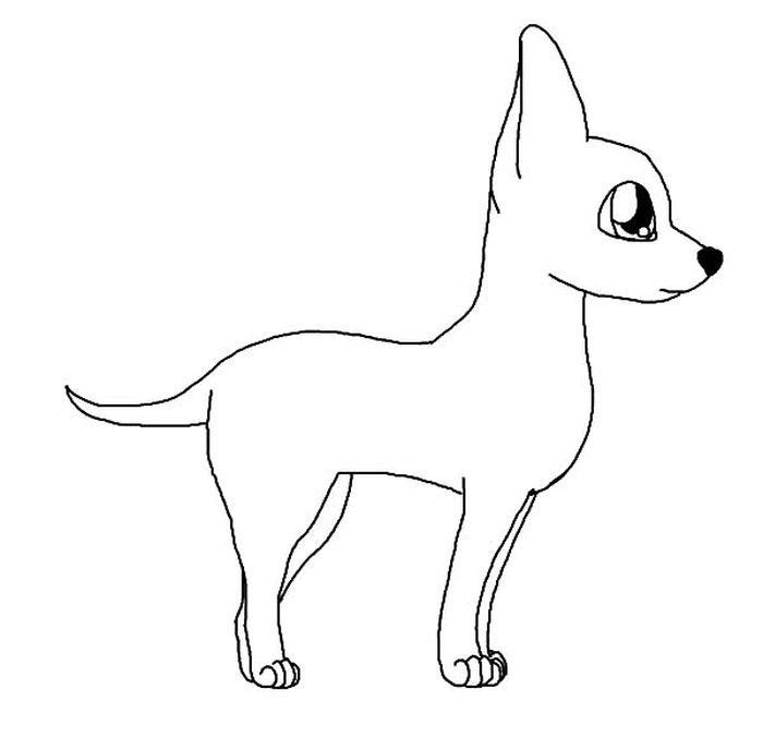 Printable Chihuahua Coloring Pages