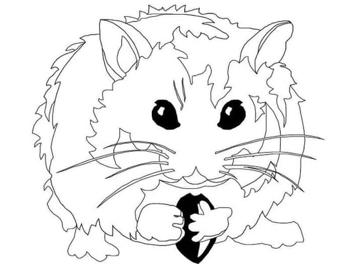 Realistic Hamster Coloring Pages