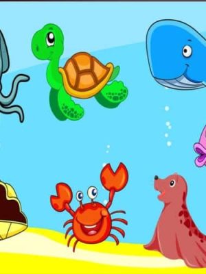 Sea Animals