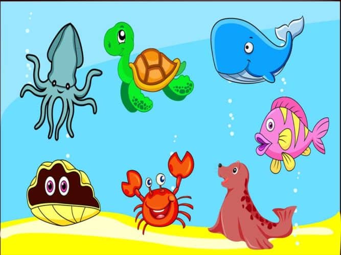 Sea Animals