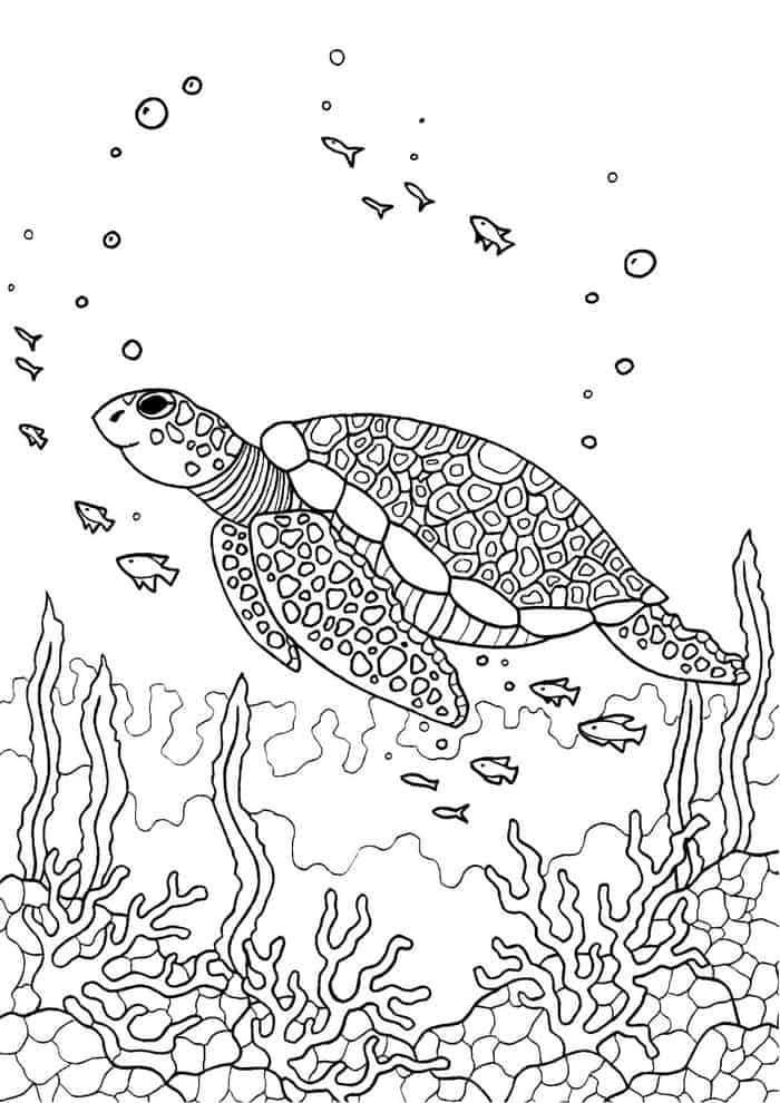 Sea Turtle Coloring Pages For Adults