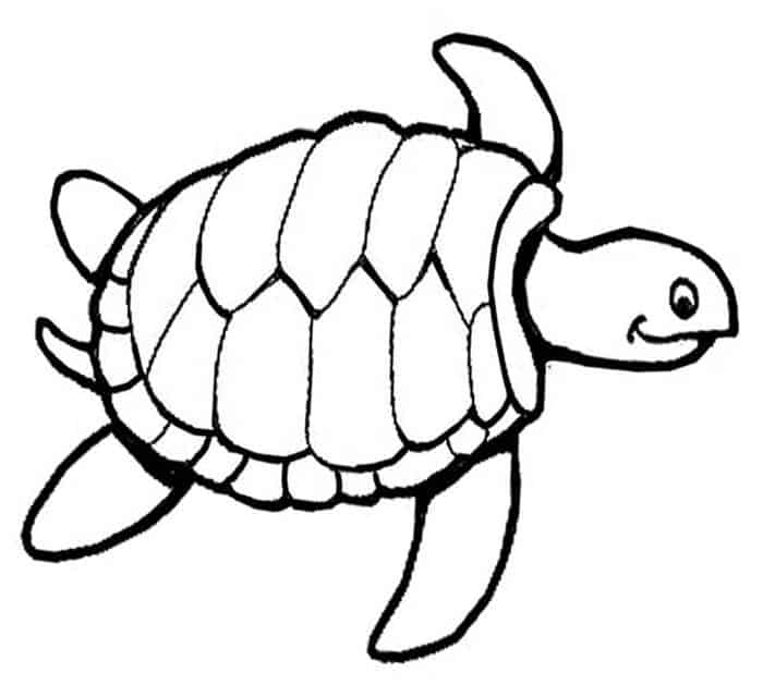 Sea Turtle Coloring Pages Printable