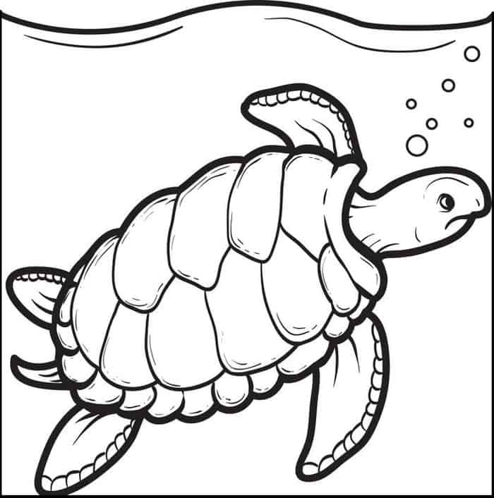 Sea Turtle Eats Coloring Pages
