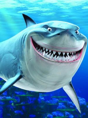 Shark