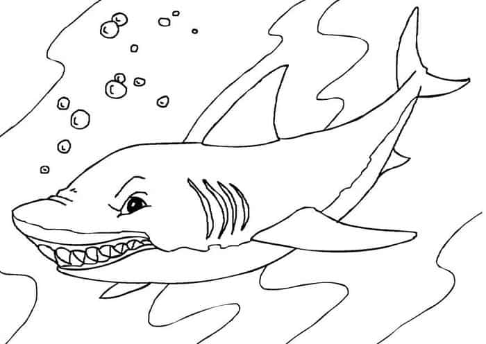 Shark Coloring Pages