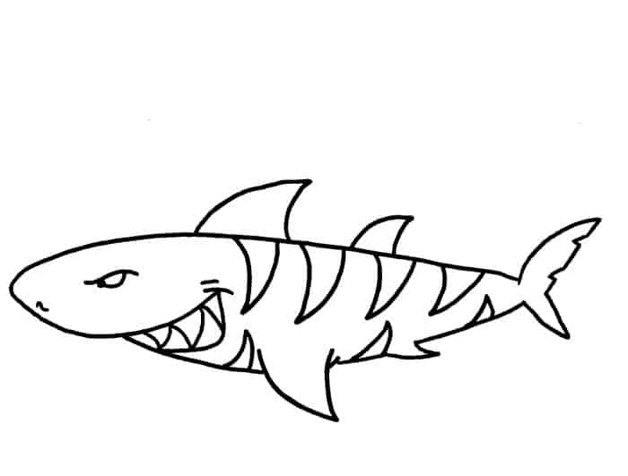 Shark Printable Coloring Pages
