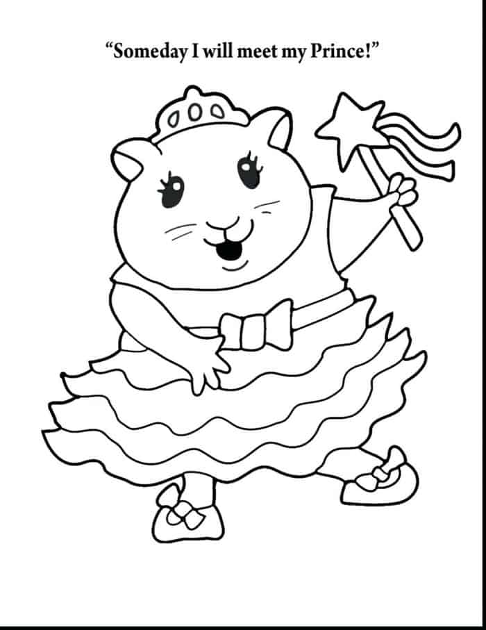 Super Cute Animal Coloring Pages Hamster Princess