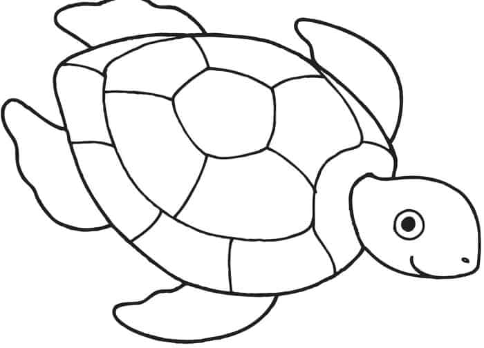 Turtle Coloring Pages For Kids