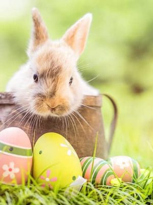 easter bunny