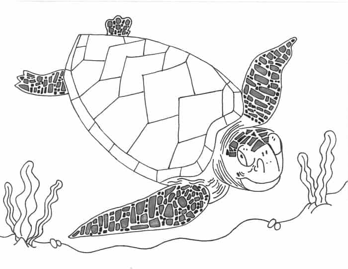 sea turtle reading book coloring pages