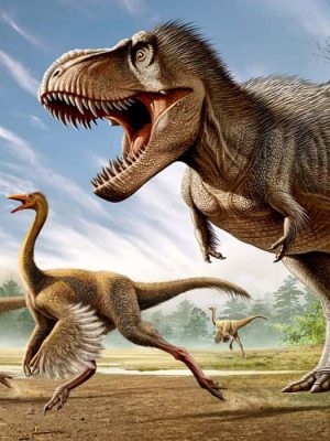 t rex