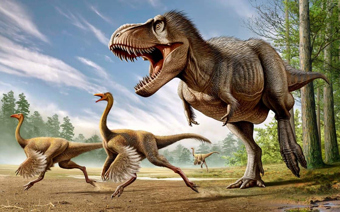 t rex