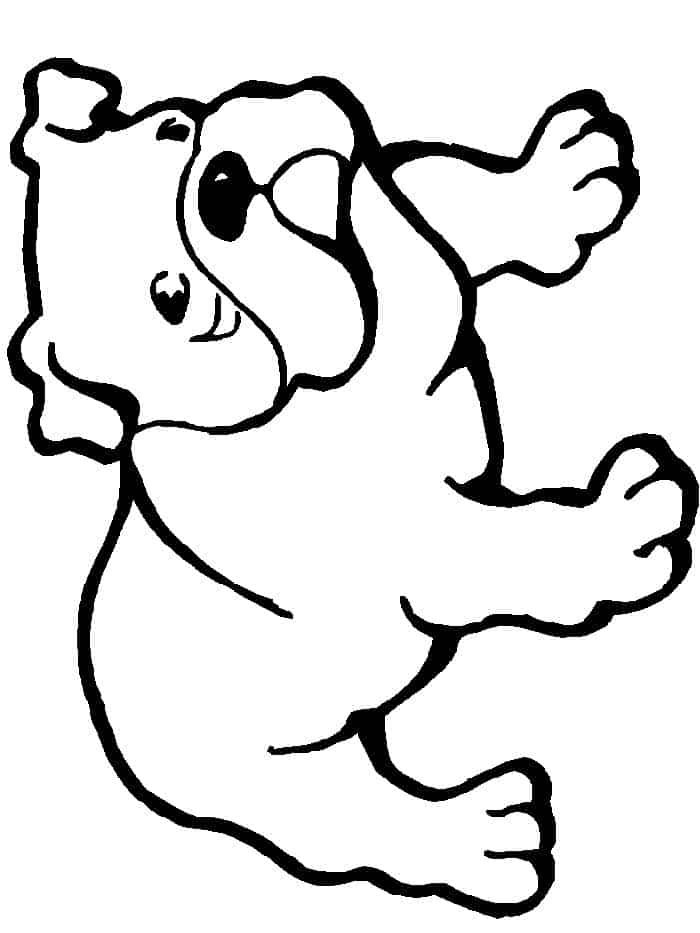 7 Year Old Pitbull Terrier Lab Boxer Coloring Pages