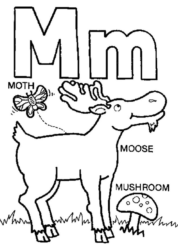Build A Bear Moose Coloring Pages