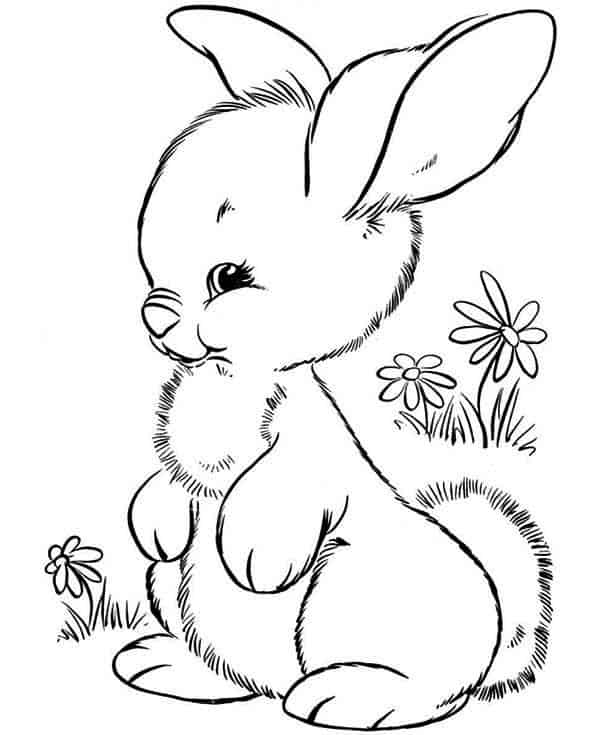 Bunny Coloring Pages For Kids