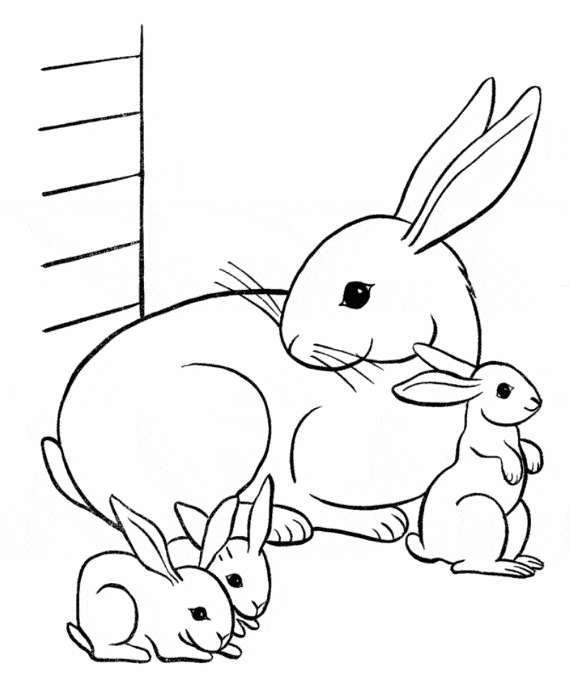 Bunny Coloring Pages For Preschoolers