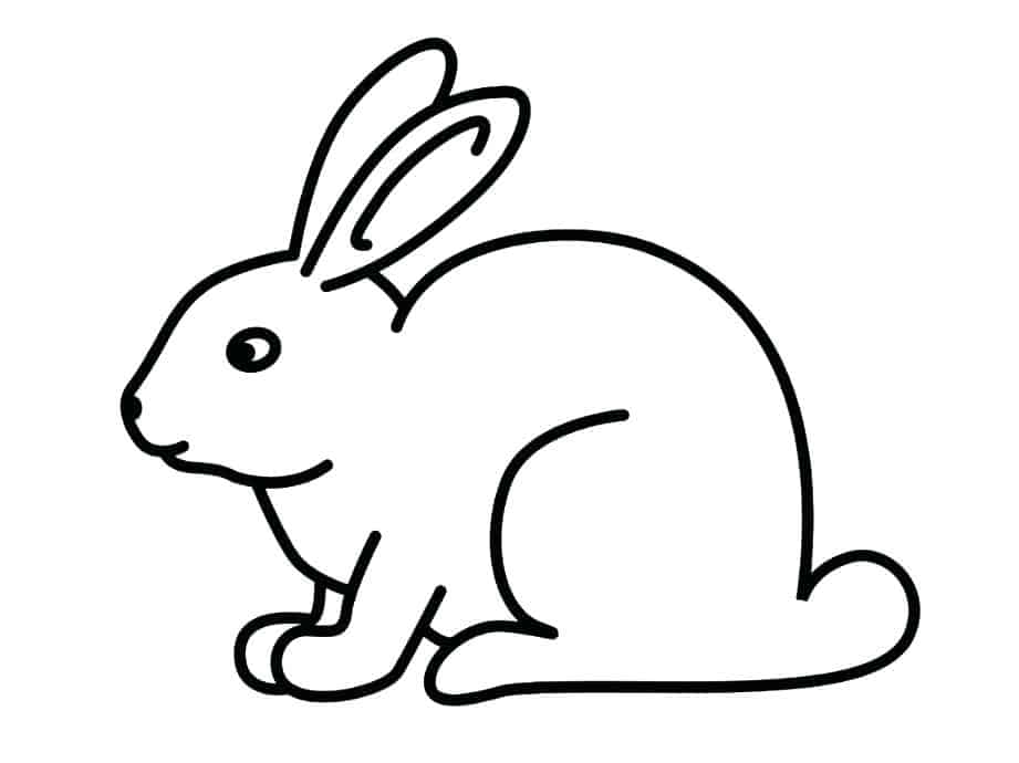 Bunny Coloring Pages Free Printable
