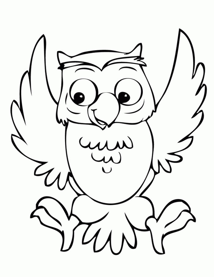 Cartoon Owl Coloring Pages