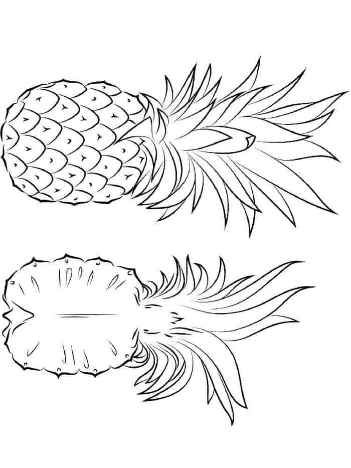 Coconut Pineapple Coloring Pages