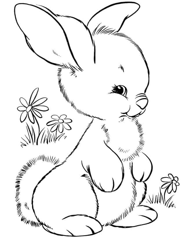 Cute Baby Bunny Coloring Pages