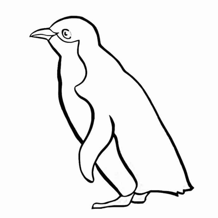 Emperor Penguin Coloring Pages